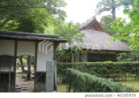Ibaraki tea room Hanae tea bowl 40195979