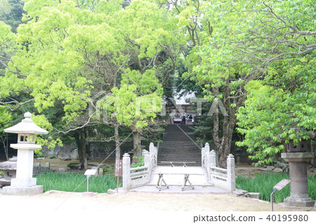 Shitokisan Shrine of Ibaraki 40195980