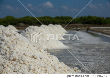 The white salt field on a sunny day The white salt field on a sunny day 40196767