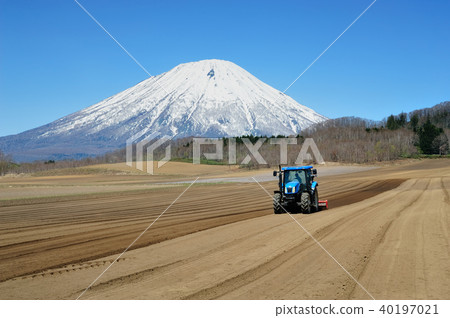 羊蹄山和拖拉機 40197021