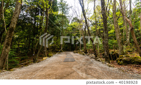 The road to the Todake Feng hole 40198928
