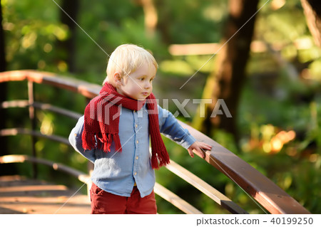 Little boy enjoy stroll in the sunny forest or in summer park Little boy enjoy stroll in the sunny forest or in summer park 40199250