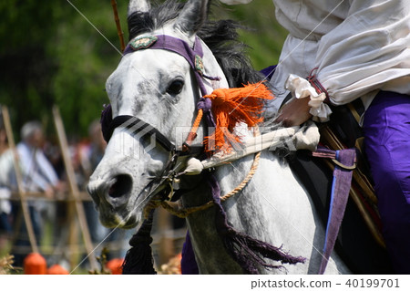 Kamo horse racing footsteps type (Kamokura Uma Ashishore Eshiki) 40199701