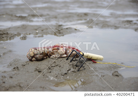 <Swimming hunting> net and rake 40200471