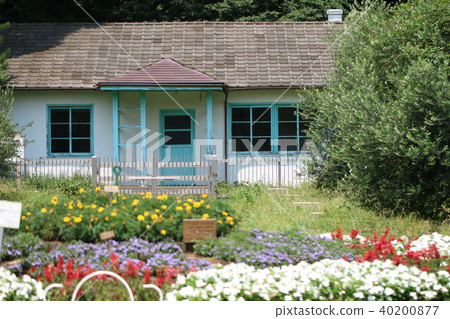 Midsummer Yoyogi Park Midsummer Yoyogi Park 40200877