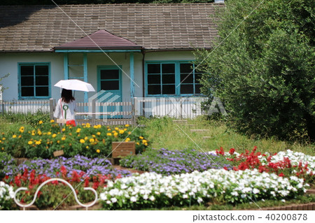 Midsummer Yoyogi Park Midsummer Yoyogi Park 40200878