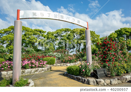 Yu Yingji Park Rose Garden Yu Yingji Park Rose Garden 40200937