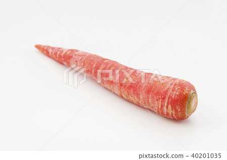 Golden ginseng 40201035