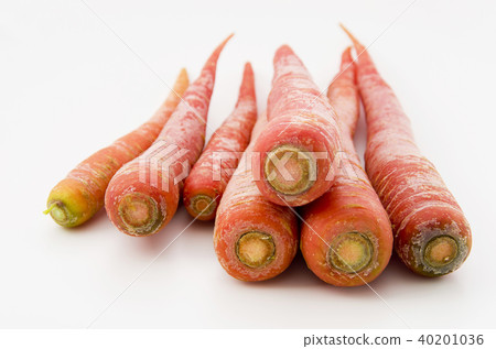 Golden ginseng 40201036