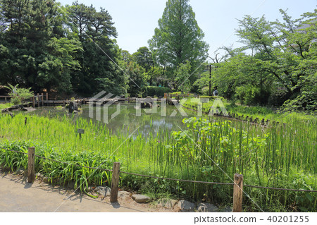 哲學館公園（中野區） 40201255