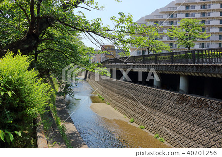 Myoshoji河（中野區） 40201256