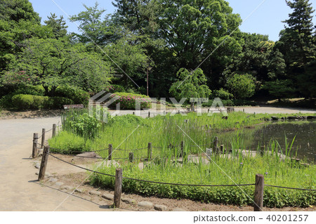 哲學館公園(中野區) 哲學館公園(中野區) 40201257