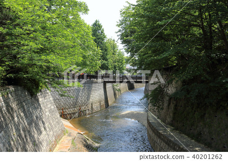 Myoshoji河（中野區） 40201262