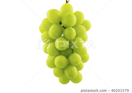 Shine Muscat 1 Shine Muscat 1 40201579