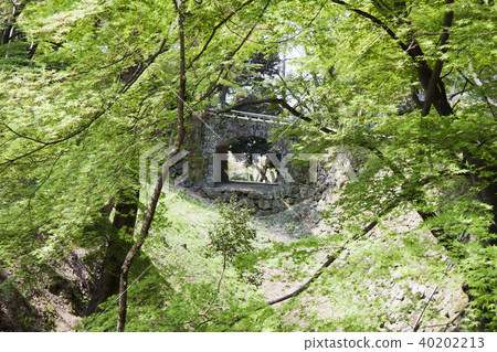 Okazaki Castle Aomi Hori and Bridge Okazaki Castle Aomi Hori and Bridge 40202213