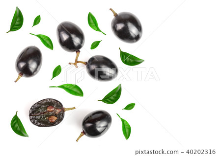 Dark grapes decorated with green leaves isolated on white background with copy space for your text 40202316