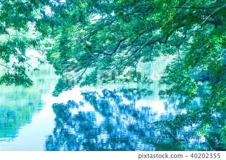 Water surface Water surface 40202355