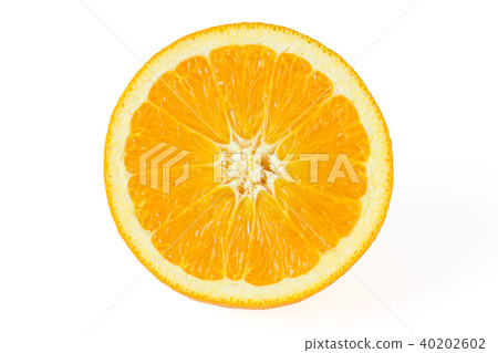 臍橙 臍橙 40202602