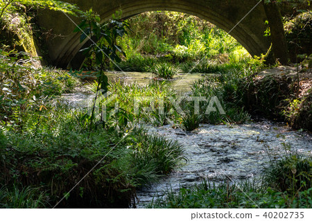 Ikeyama water source Ikeyama water source 40202735