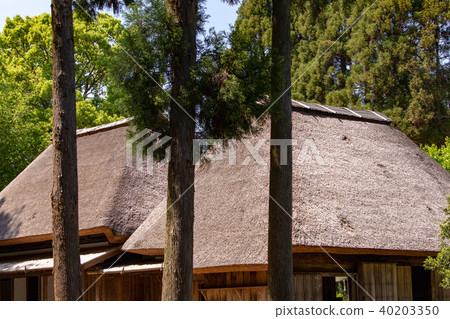 Thatched roof 6 Thatched roof 6 40203350