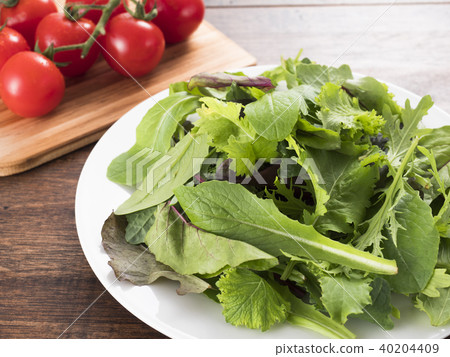 Baby leaf and tomato with branches Baby leaf and tomato with branches 40204409