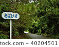 Kumejima ghost slope! ? 40204501