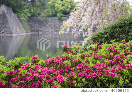 愛知縣名古屋市名古屋公園 40206153
