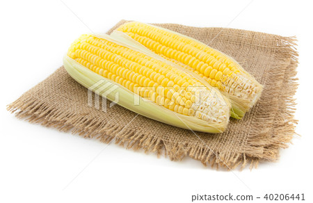 two corn on sack background 40206441