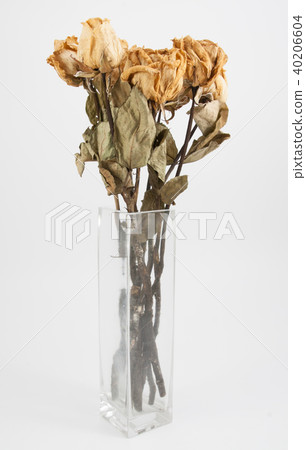 dried rose isolate dried rose isolate 40206604