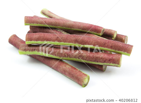 purple bean isolated 40206812