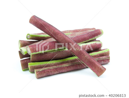 purple bean isolated 40206813