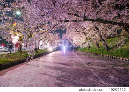 弘前公園花垣外的櫻花點亮 40209512