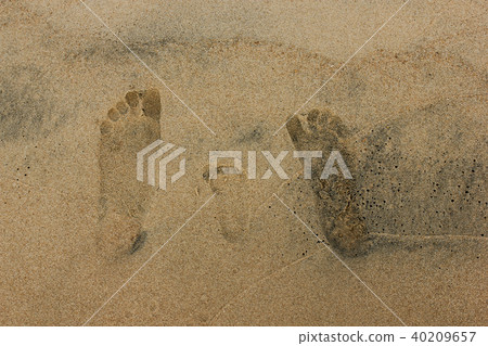 Close-up family foot prints on sandy beach Close-up family foot prints on sandy beach 40209657