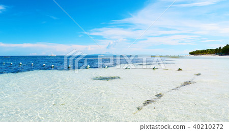 Alona Beach (Philippines, Cebu) 40210272