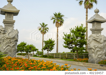 Marigold Marigold 40210457