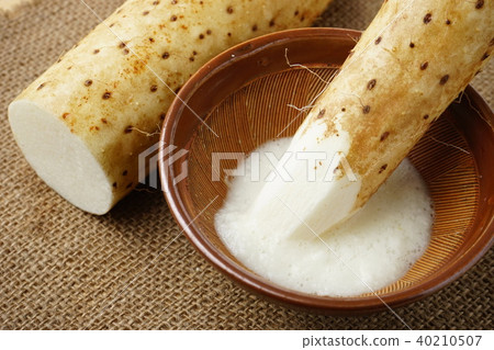 山藥和yamro 40210507