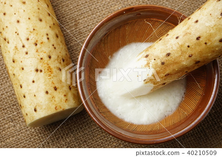 Yam and yamro 40210509