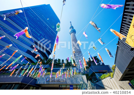 東京天空樹和鯉魚飄帶 40210854