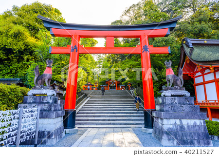 京都伏見稻荷神社 40211527