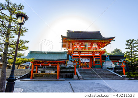 京都伏見稻荷神社 40211528