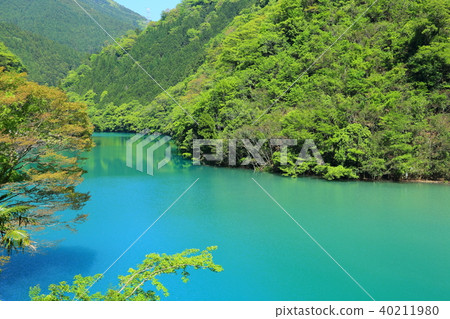 Fresh green 40211980