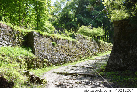 Iwamura Castle Ruins Iwamura Castle Ruins 40212204