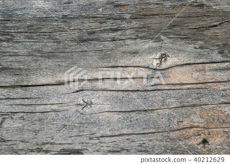 weathered wood surface,Wooden background weathered wood surface,Wooden background 40212629