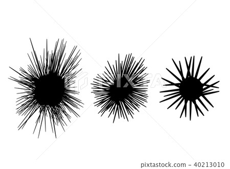 Set of Sea urchin icon in silhouette style, vector 40213010