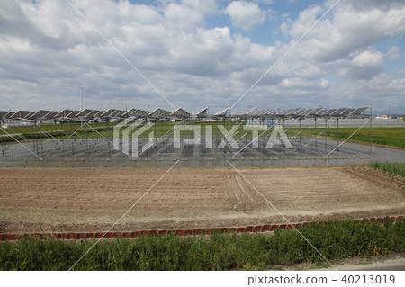 Solar panel _ farming type solar Mie prefecture Kiso Cape Town 40213019