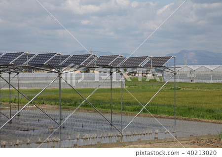 Solar panel _ farming type solar Mie prefecture Kiso Cape Town 40213020