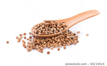 coriander seeds in spoon wooden on white 40214024