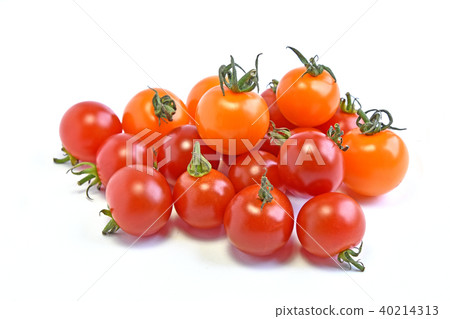  Mini Tomato 40214313