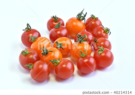  Mini Tomato 40214314