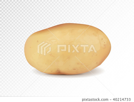 Realistic potato, 3d vector illustration Realistic potato, 3d vector illustration 40214733